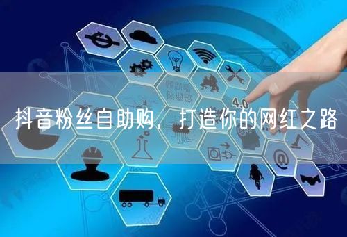抖音粉丝自助购，打造你的网红之路